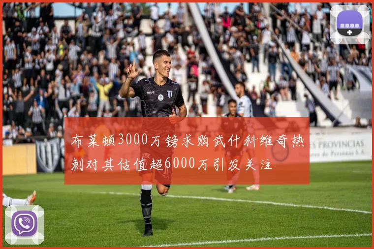 布莱顿3000万镑求购武什科维奇热刺对其估值超6000万引发关注